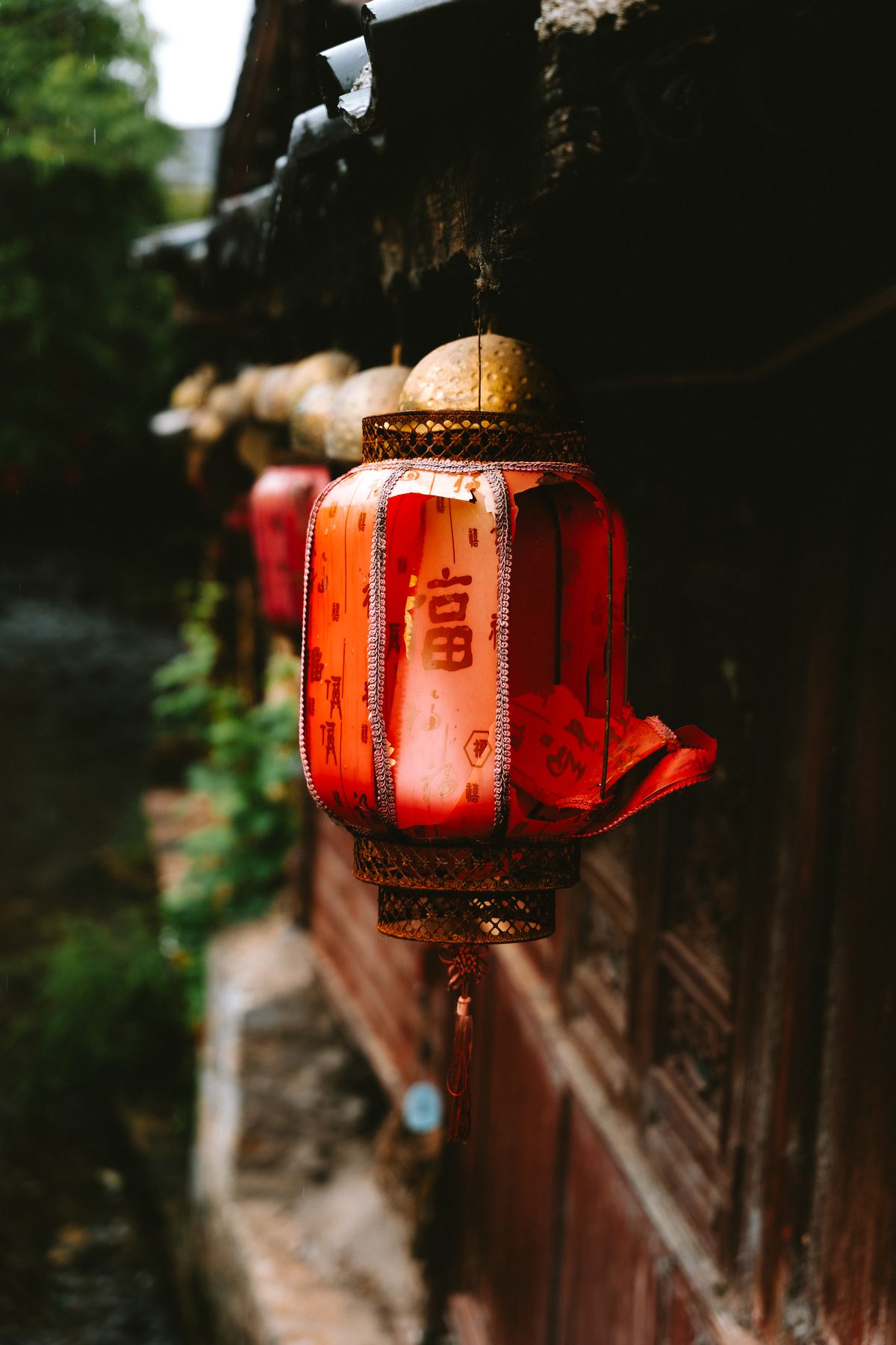 Photograph A7V00628 by Max Du