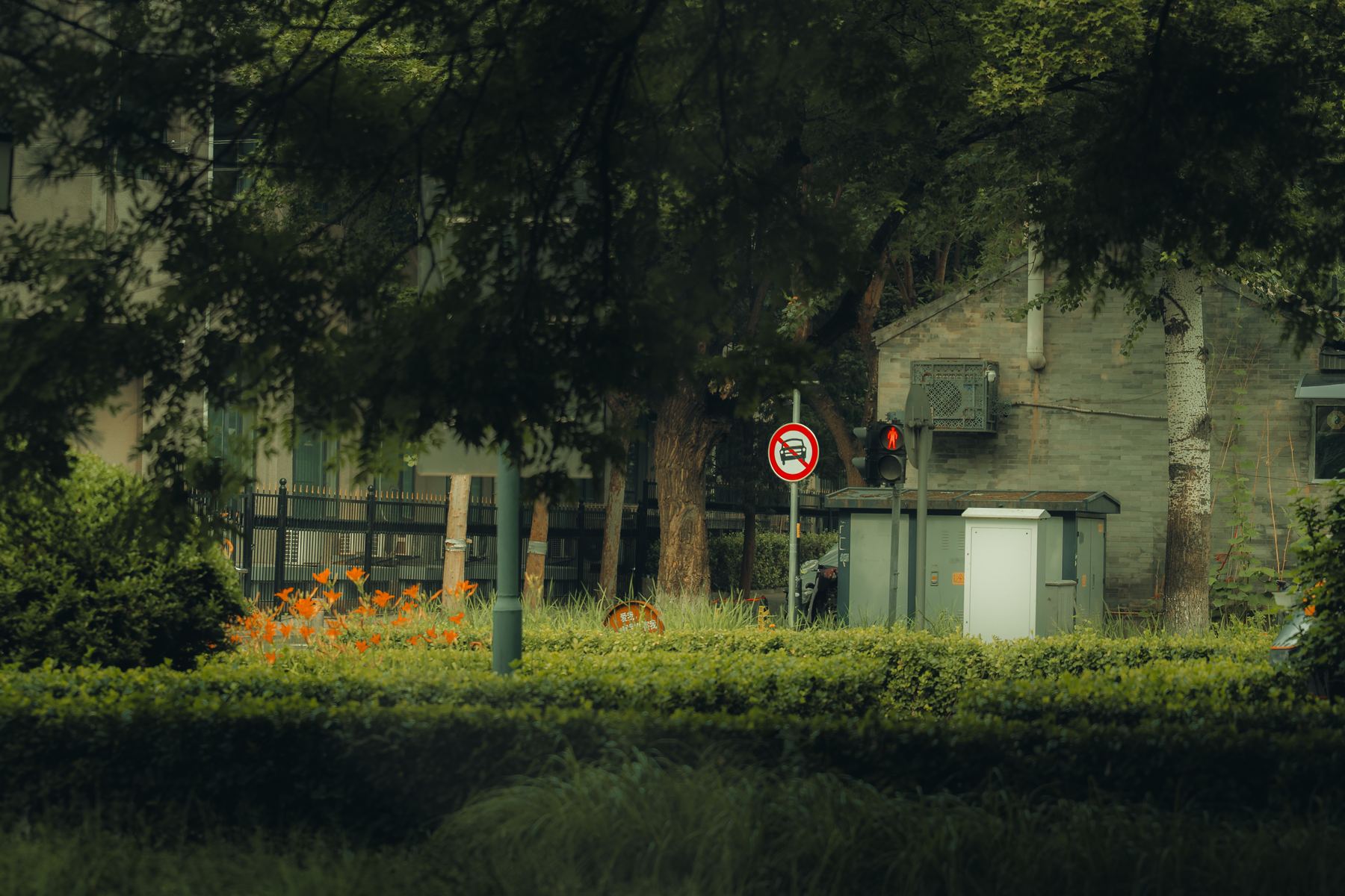 Photograph A7V01525 by Max Du