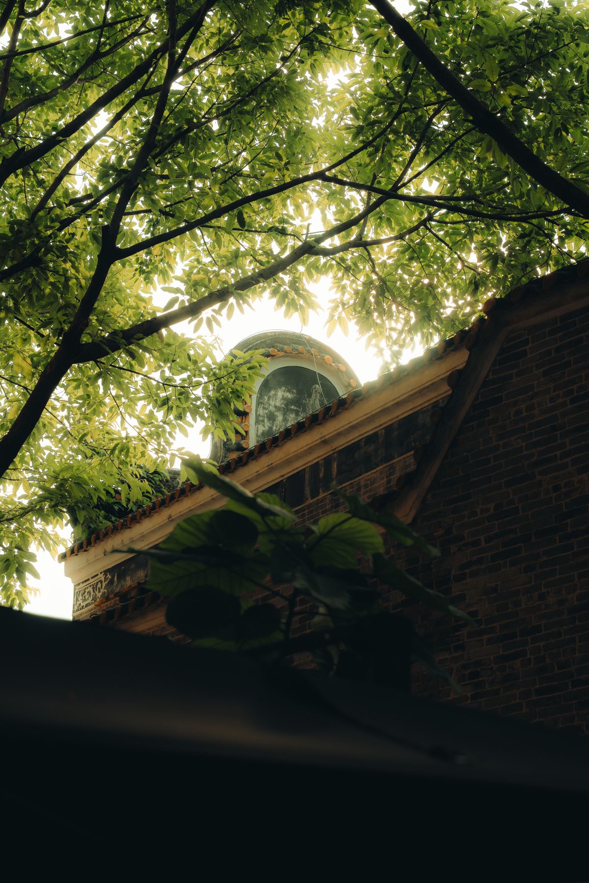 Photograph A7V02416 by Max Du