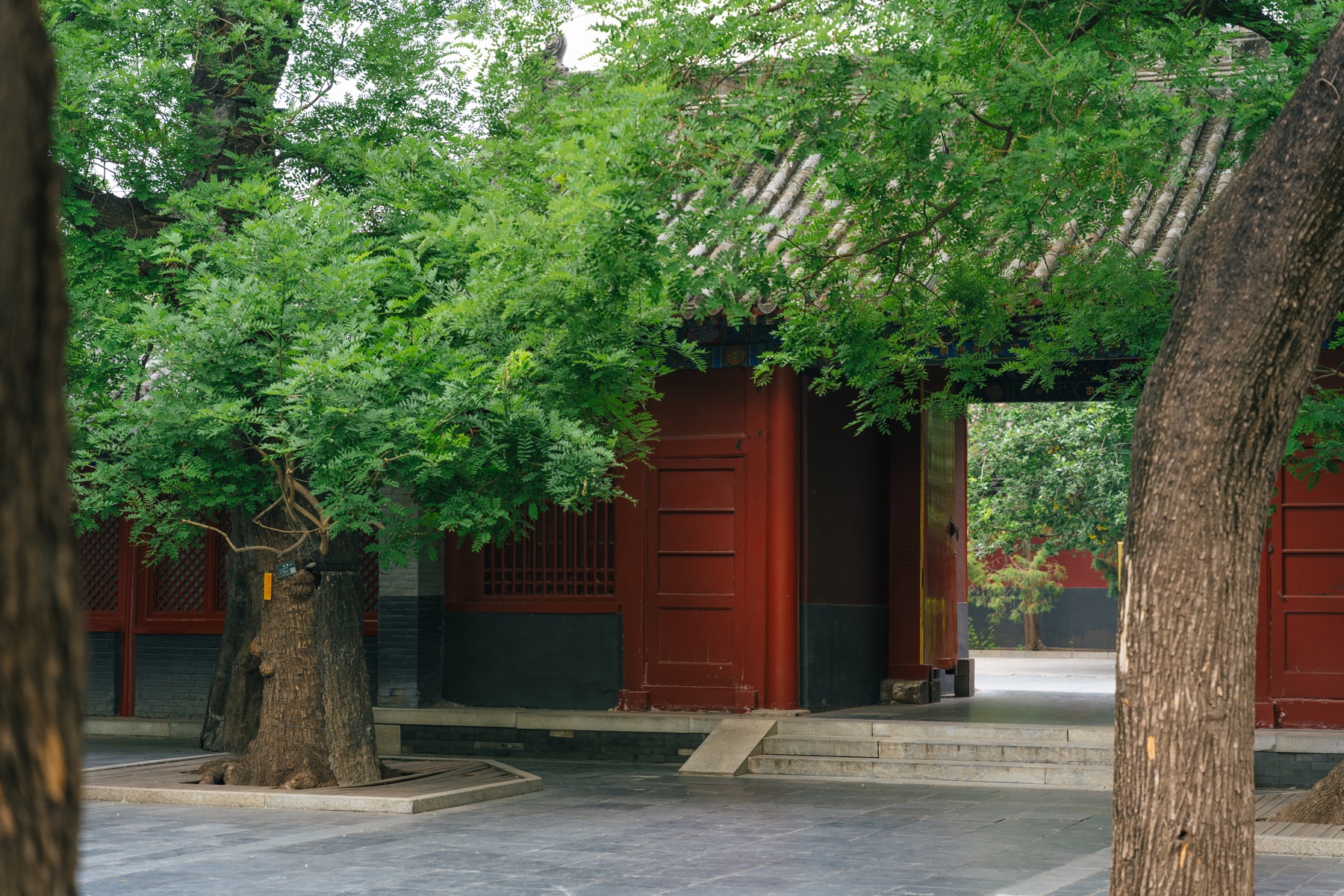 Photograph from Beijing by Max Du