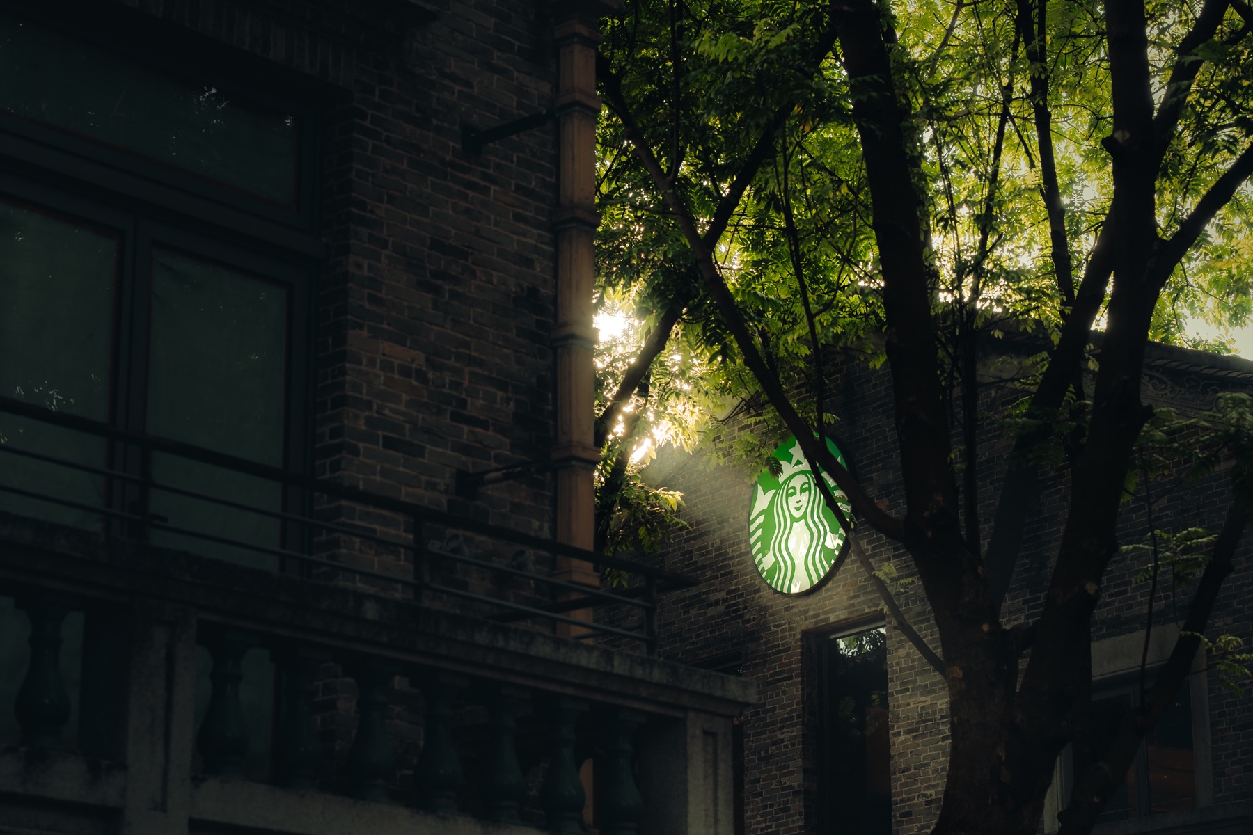 Photograph from Foshan by Max Du
