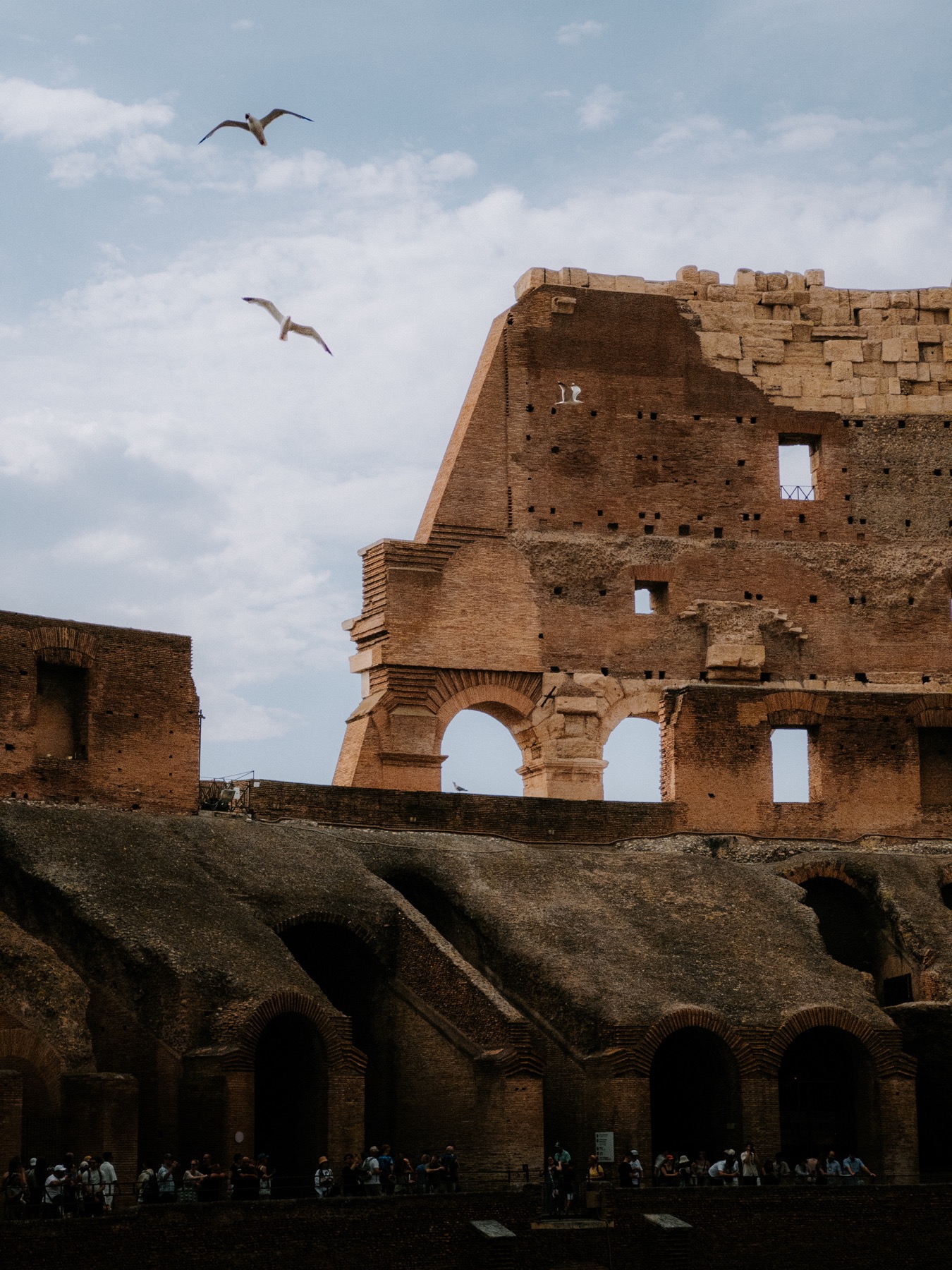 Photograph Rome - 3 by Max Du