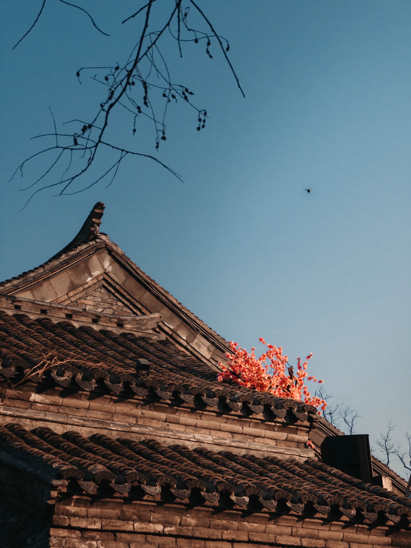 Photograph from Jinan by Max Du
