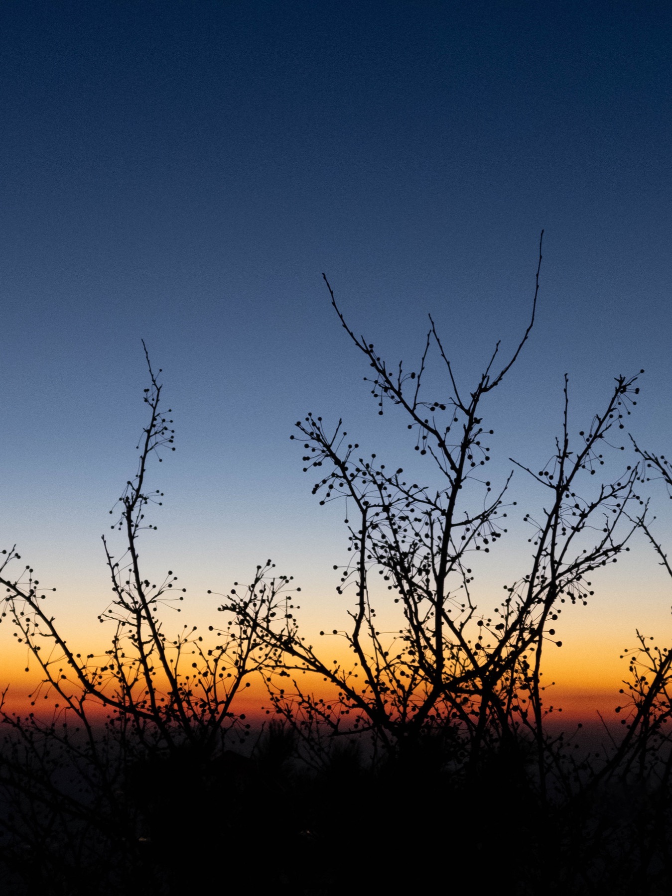 Photograph from Jinan by Max Du