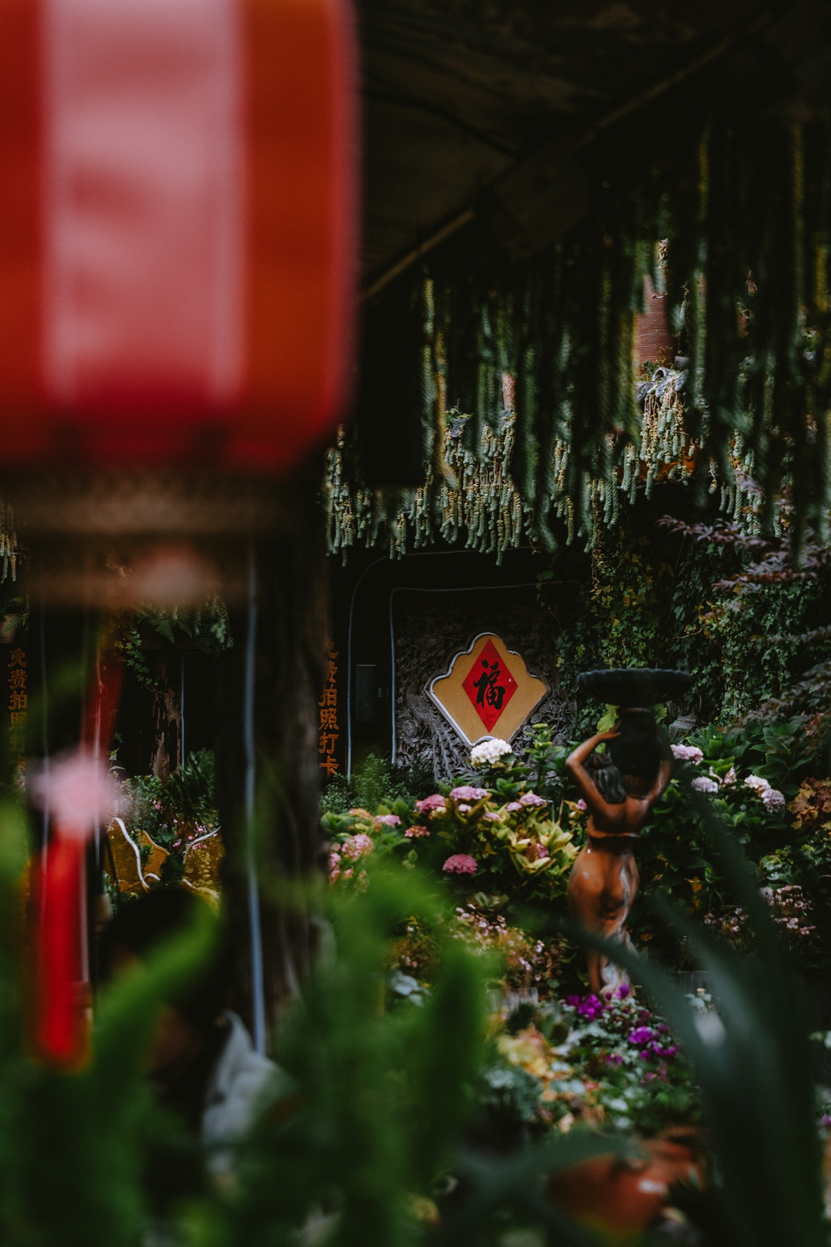 Photograph from Lijiang by Max Du