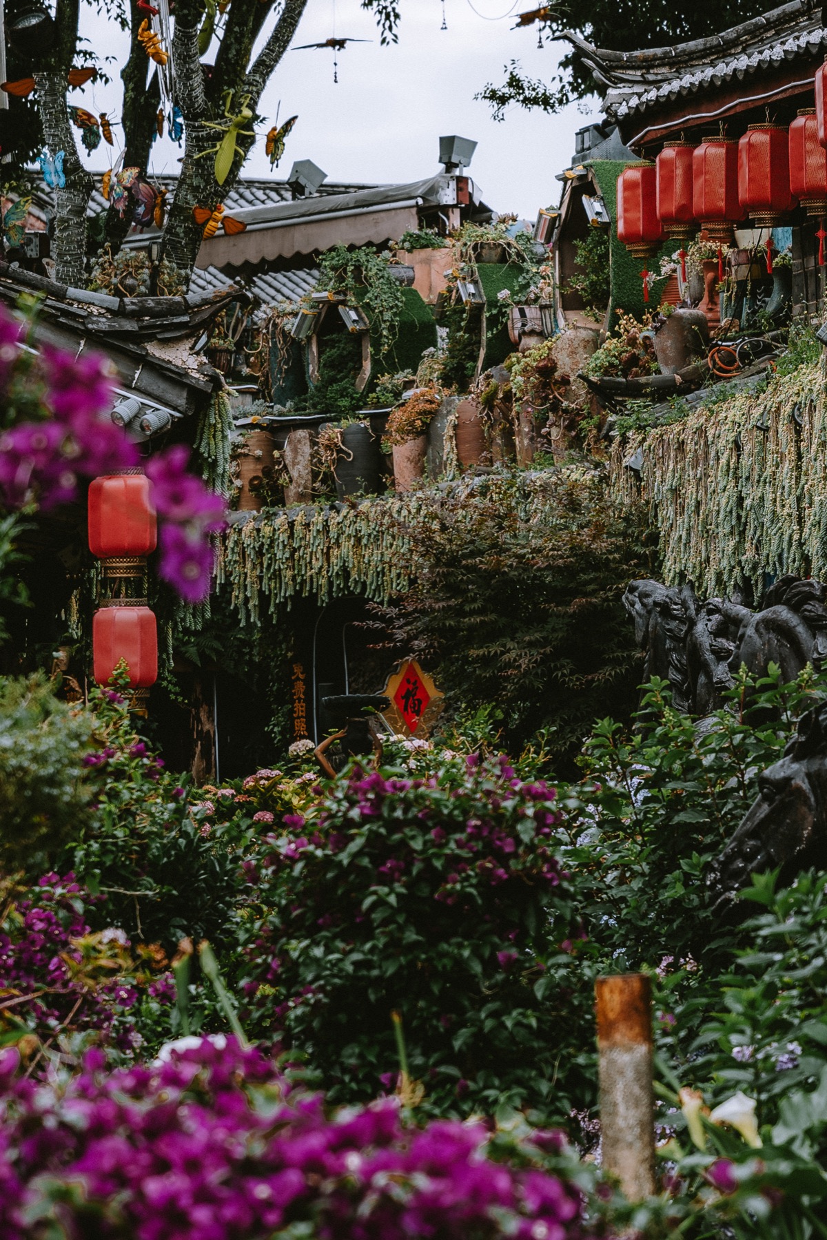 Photograph from Lijiang by Max Du