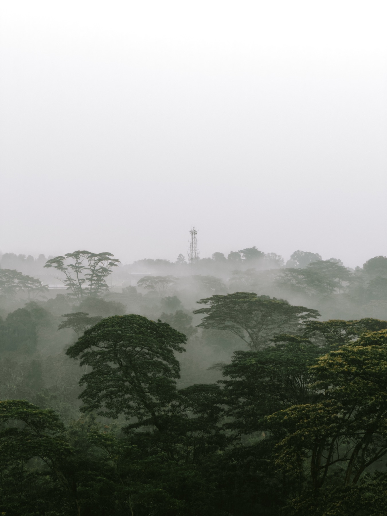 Photograph IMG_8177_edited by Max Du