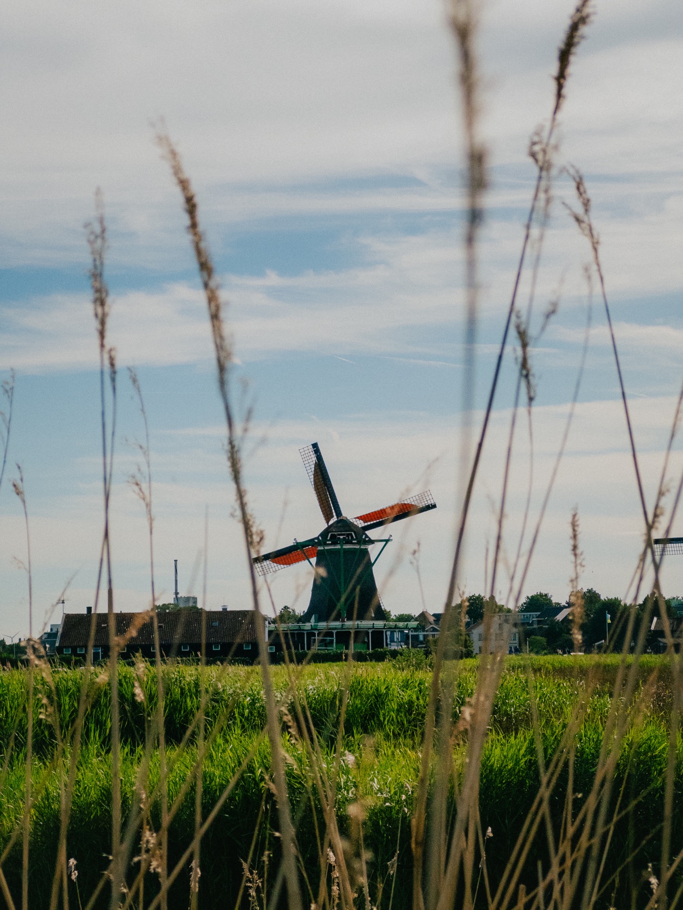 Photograph from The Netherlands by Max Du