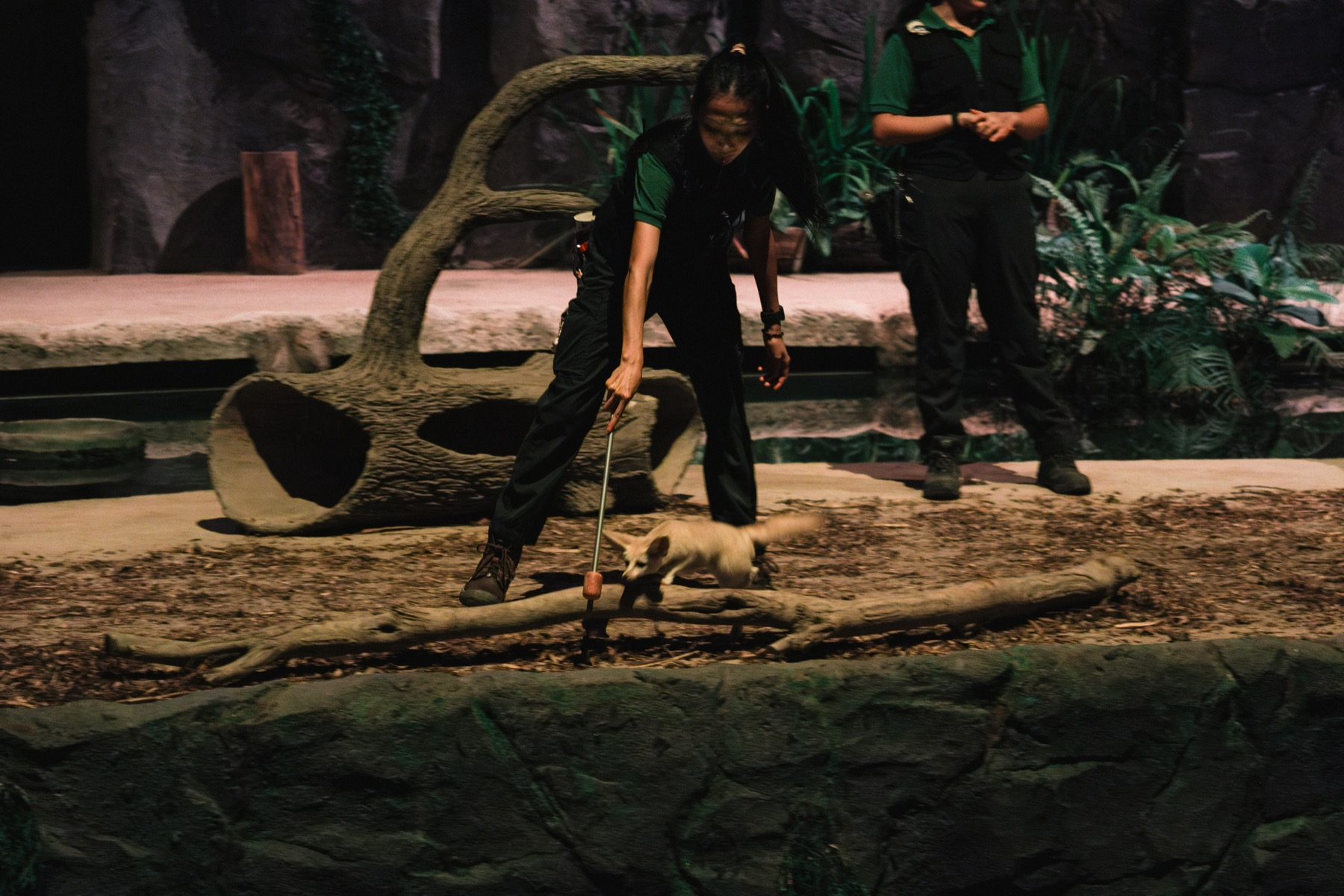 Photograph from Night Safari by Max Du