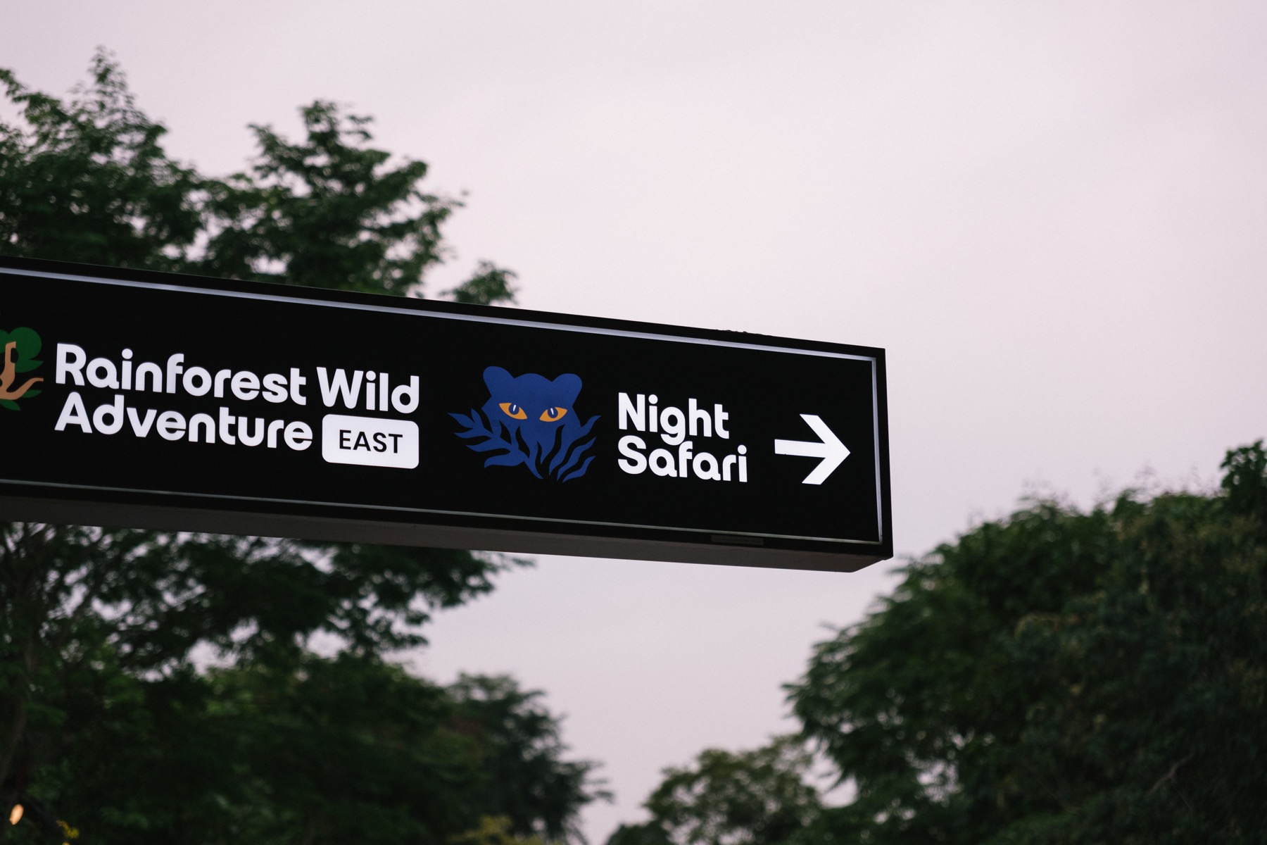 Photograph from Night Safari by Max Du