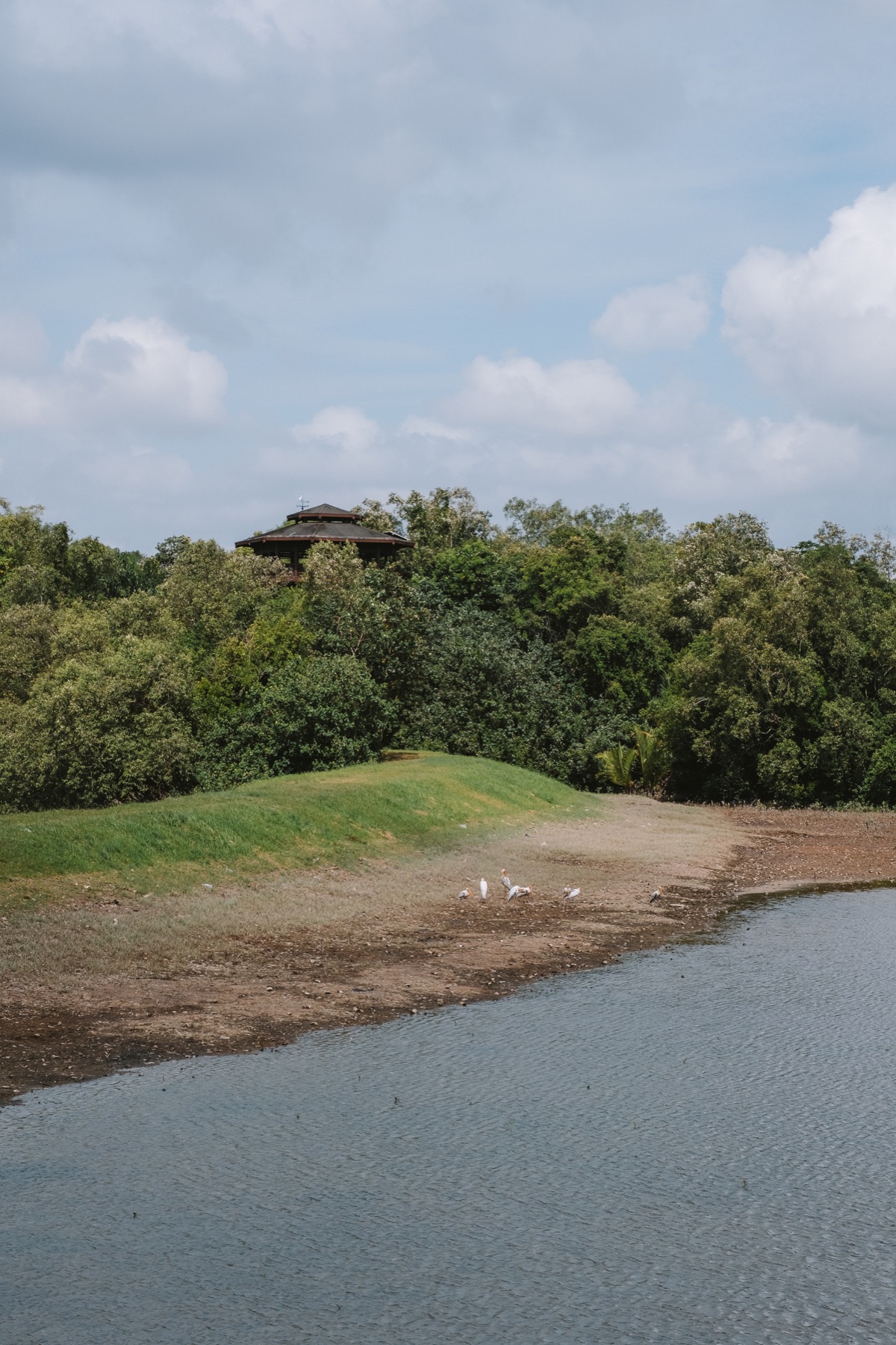 Photograph from Sungei Buloh by Max Du