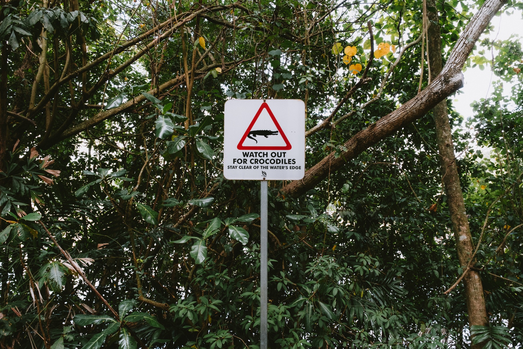 Photograph from Sungei Buloh by Max Du
