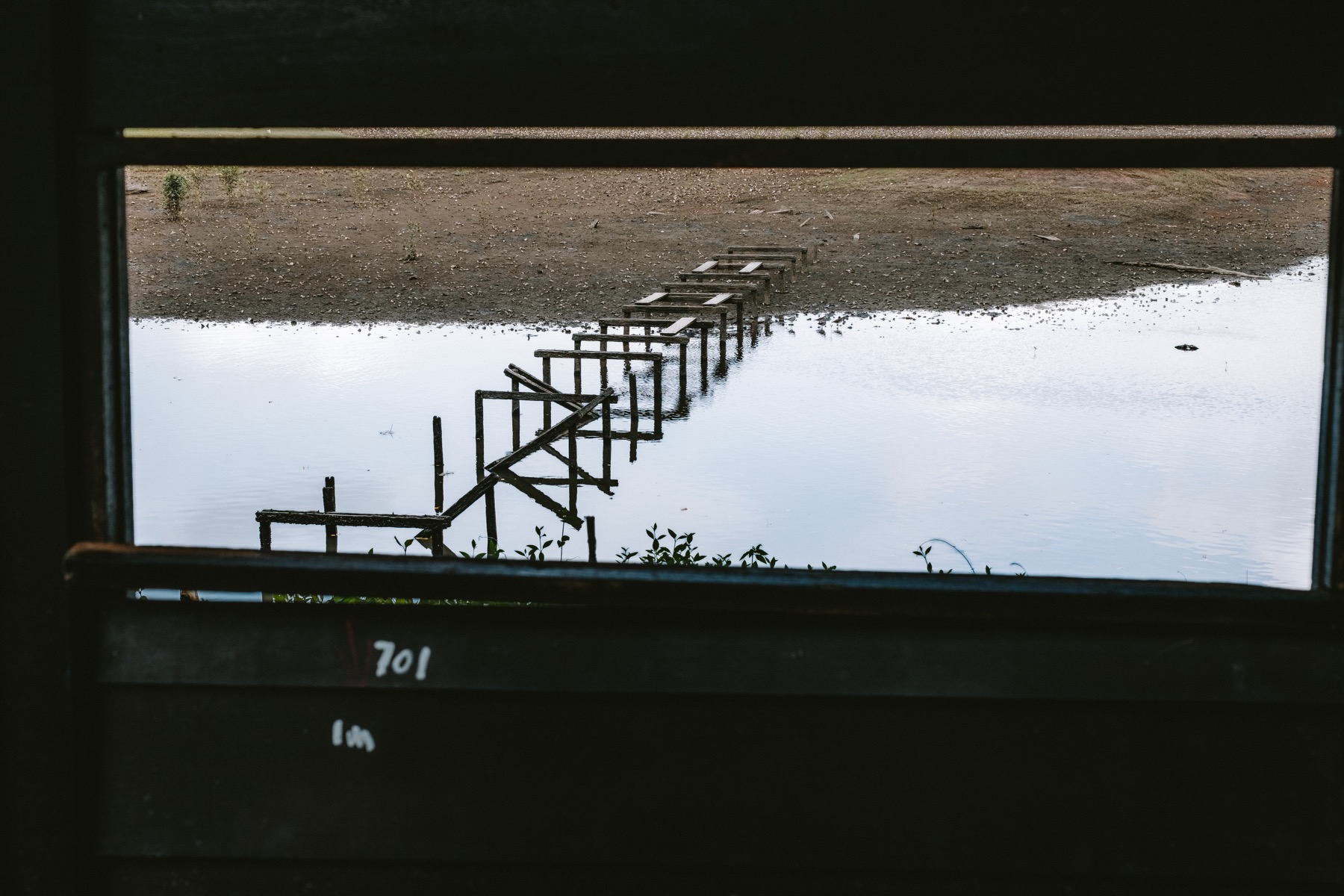 Photograph from Sungei Buloh by Max Du