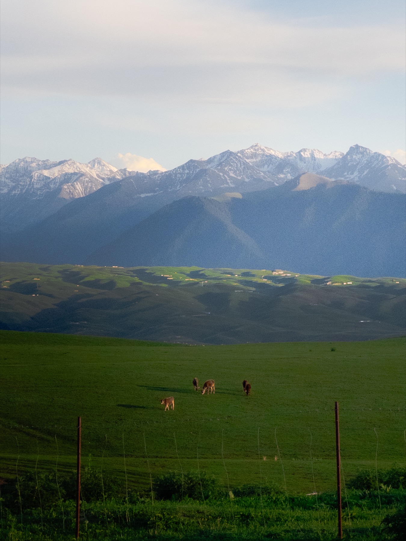 Photograph from Xinjiang by Max Du